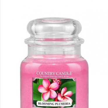  Country Candle - Blooming Plumeria - Średni słoik (453g) 2 knoty Świeca zapachowa